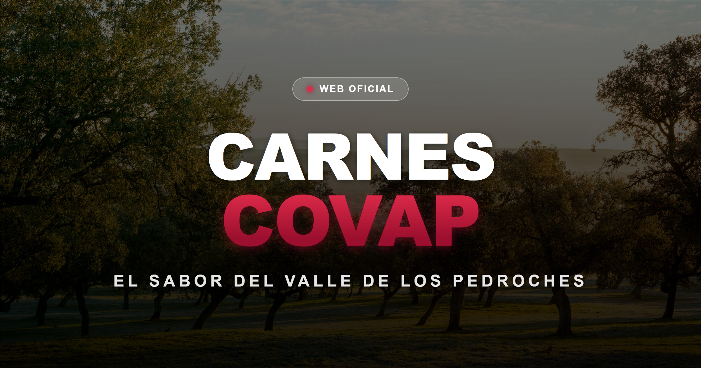 Captura del proyecto Portal Carnes Covap